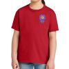 Youth Softstyle ® Midweight Tee Thumbnail
