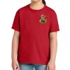 Youth Softstyle ® Midweight Tee Thumbnail