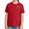 Youth Softstyle ® Midweight Tee Thumbnail