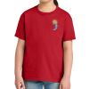 Youth Softstyle ® Midweight Tee Thumbnail