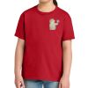 Youth Softstyle ® Midweight Tee Thumbnail