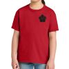 Youth Softstyle ® Midweight Tee Thumbnail