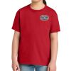 Youth Softstyle ® Midweight Tee Thumbnail