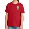 Youth Softstyle ® Midweight Tee Thumbnail