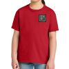 Youth Softstyle ® Midweight Tee Thumbnail