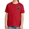 Youth Softstyle ® Midweight Tee Thumbnail