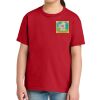 Youth Softstyle ® Midweight Tee Thumbnail