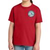 Youth Softstyle ® Midweight Tee Thumbnail