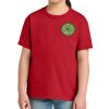 Youth Softstyle ® Midweight Tee Thumbnail
