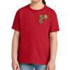 Youth Softstyle ® Midweight Tee Thumbnail