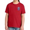 Youth Softstyle ® Midweight Tee Thumbnail