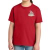 Youth Softstyle ® Midweight Tee Thumbnail